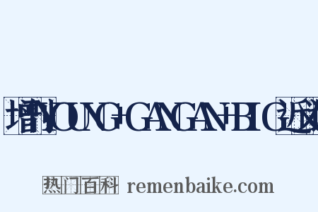 增刊YOUNG+GANGAN+BIG近义词是什么意思的图片